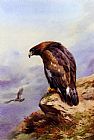 Golden Canvas Paintings - A Golden Eagle